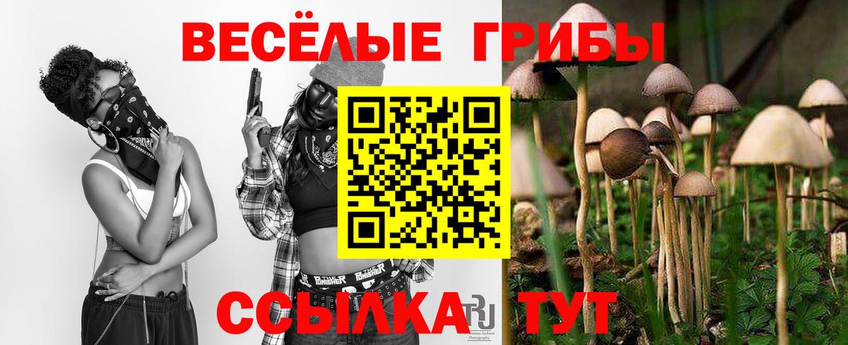 Псилоцибиновые грибы мухоморы Новочебоксарск