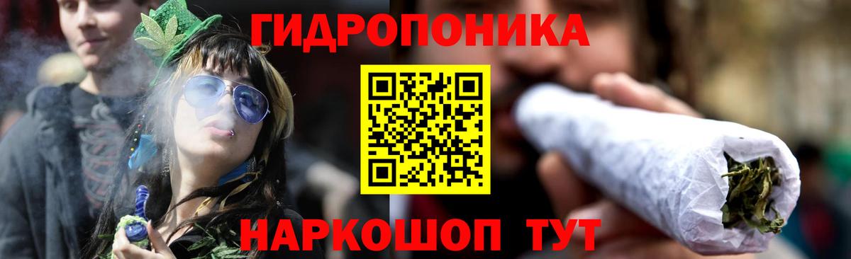 Конопля семена  Бошки марихуана LSD WEED  Вход с VPN  Новочебоксарск  Каннабис White Widow  МАРИХУАНА OG Kush 